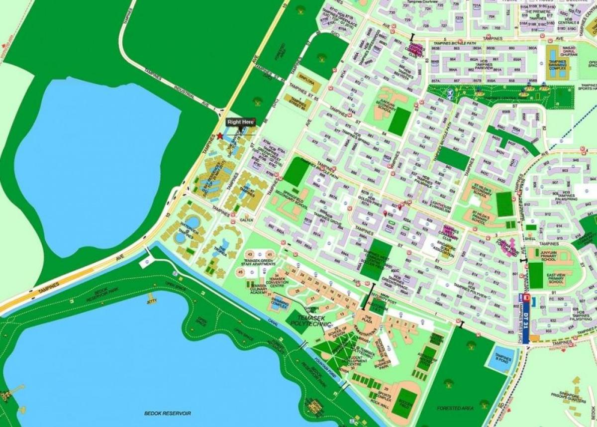 мапа Сингапура тампинс