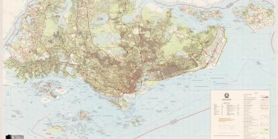 Топографска мапа Сингапура